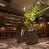 Bar en - メイン写真: