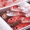 海鮮・肉料理 あきら - メイン写真: