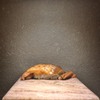 鮮魚・お食事処 山正 - メイン写真: