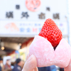 築地そらつき - メイン写真: