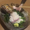 浜焼き居酒屋 バルバルATAMI - メイン写真: