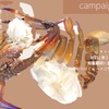 京薬膳なつめ - メイン写真: