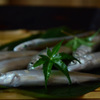 浜町 緒ばた - メイン写真: