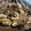 しまなみ直送 真鯛・海鮮料理専門店 鯛将 - メイン写真: