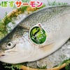 鮨和さび - メイン写真: