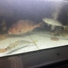 Seafood Choshu Yuda ten