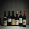 Regalo - メイン写真:
