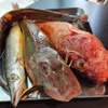 bistro 234 - メイン写真: