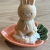 餃子とレモンサワー うさぎや - メイン写真:
