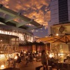 Serafina NEW YORK - メイン写真: