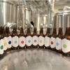 YAMATO Craft Beer Table - メイン写真:
