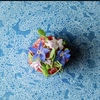 Ricco Pianta - メイン写真:
