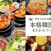 韓国屋台料理と純豆腐のお店 ポチャ - メイン写真: