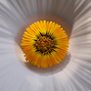 CYCLE by Mauro Colagreco - メイン写真: