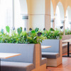 R O STAR Seaside Terrace - 内観写真: