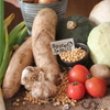 Spice&mill - その他写真:写真の野菜は全て農家直送(2015年11月撮影)