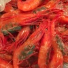 鮨 登喜和 - 料理写真:赤泊　南蛮エビ