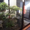 中華屋 Jan - メイン写真: