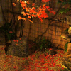 豆富と京会席 旬彩 旨魯 - メイン写真: