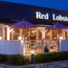 Red Lobster - メイン写真: