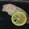 Sushi Takada - メイン写真: