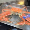 料理屋K - メイン写真: