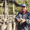 Dhisu Izu Shiitake Baga Kicchin - メイン写真: