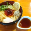 うんどん さくら屋 - 料理写真:限定ポンジュレうどん