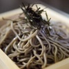 Torattoria Jikasei Soba Takenoya - メイン写真: