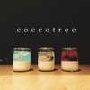Coccotree - メイン写真: