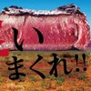 Mega Indian'S Steak House - メイン写真: