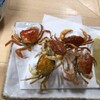 品川うお宿  - メイン写真: