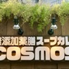 無添加薬膳スープカレー COSMOS - メイン写真: