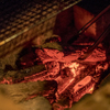 肉と葡萄 信玄食道 - メイン写真: