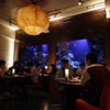 DEN AQUAROOM SHINJUKU - メイン写真: