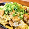 Okonomiyaki Teppanyaki Hinaya - メイン写真: