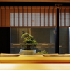 Sushi Tsubomi - 内観写真: