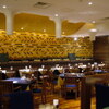 Torattoria Itaria - メイン写真: