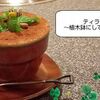 優 - メイン写真: