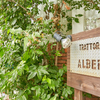 TRATTORIA ALBERO - メイン写真: