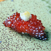 Sushi Sho Nomura