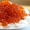 鳥八 - 料理写真:いくらご飯