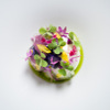 naturam kazuya sugiura - メイン写真: