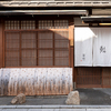 Gion Sushi Tadayasu - メイン写真: