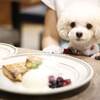 GRILL & BAR うしすけ - メイン写真: