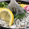 サンライズ食堂 - 料理写真:【季節限定】Wしらす丼