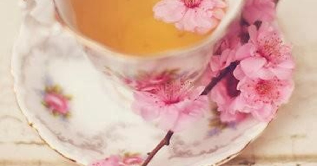 大阪 窓からお花見ができる素敵レストラン 食べログまとめ 大阪 窓からお花見ができる素敵レストラン 食べログまとめ