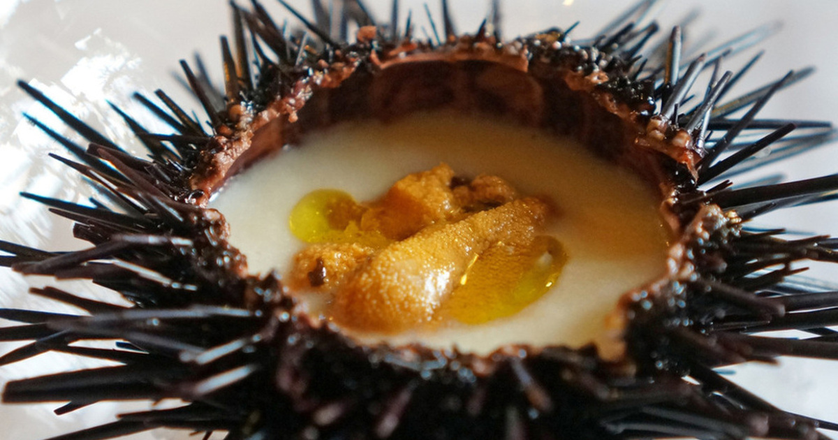 フランス料理 ル クール La Cuisine Francaise Le Coeur 市役所前 フレンチ 食べログ