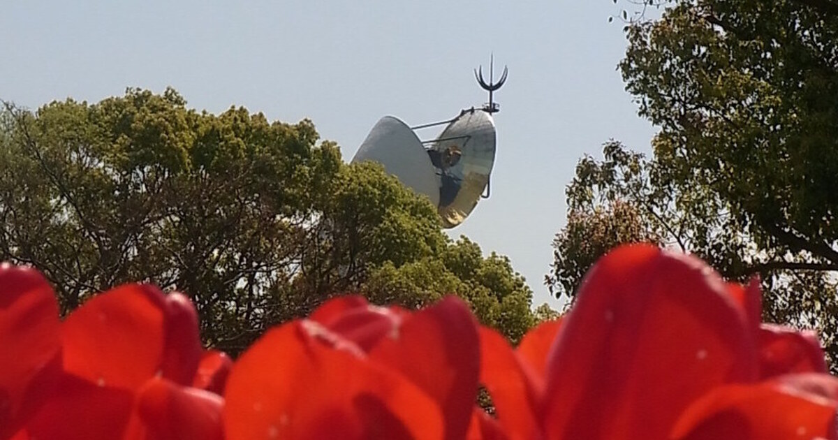 吹田 万博記念公園の四季を追ってみました 中央口周辺 自然文化園編 食べログまとめ