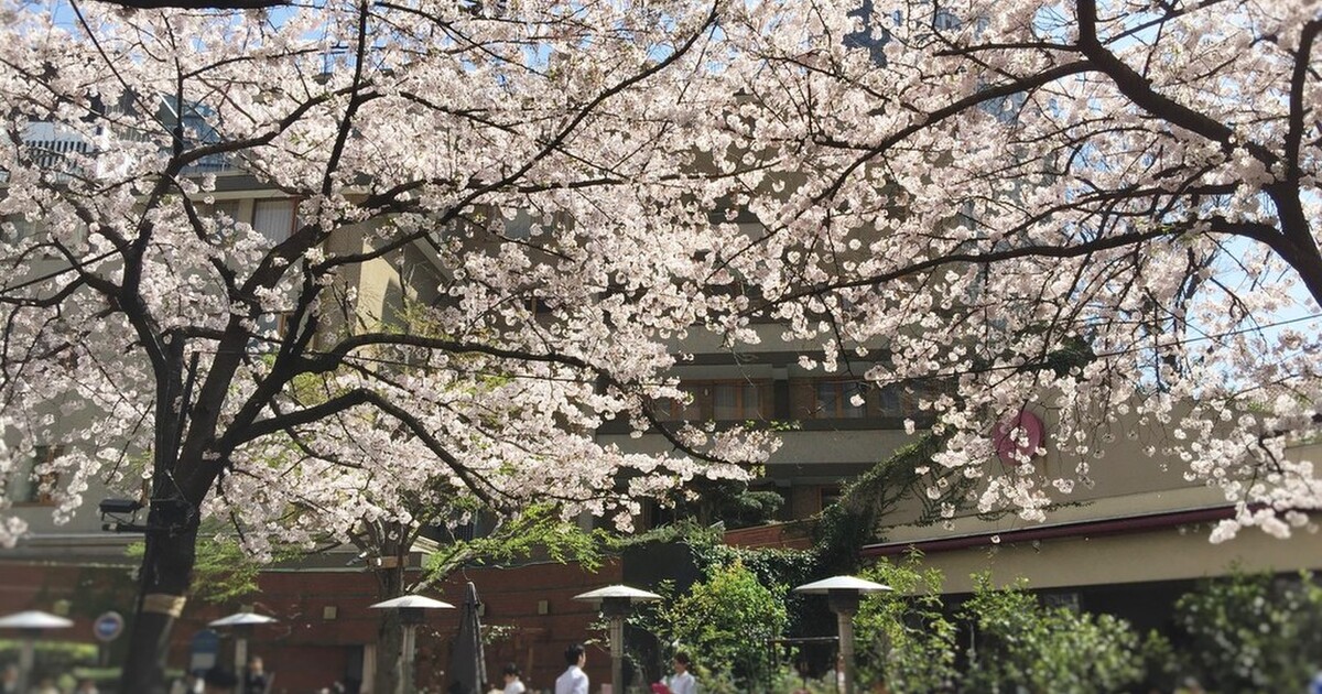 東京 食事しながら花見できるカフェ レストラン 食べログまとめ